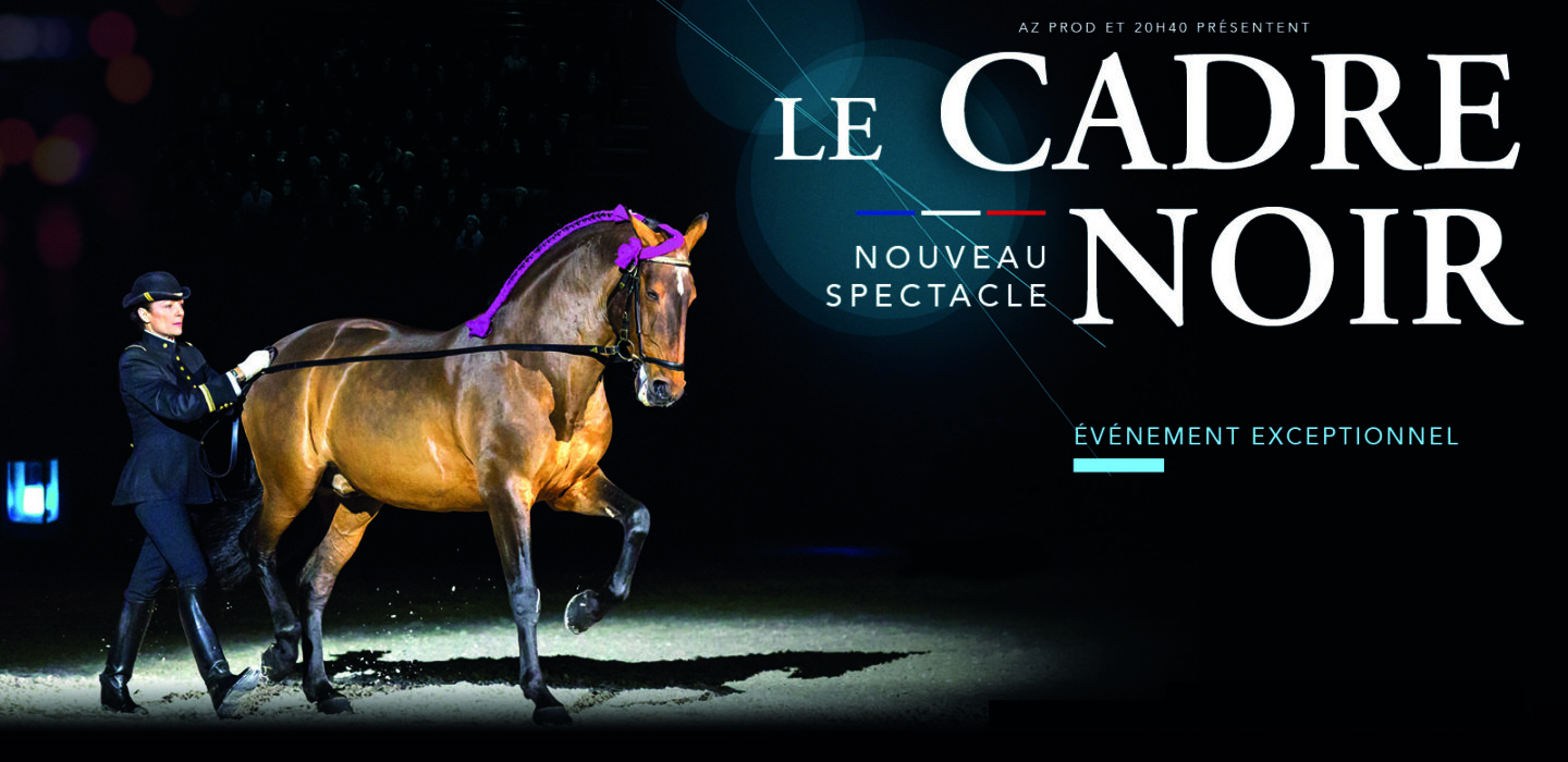 cadre noir dijon