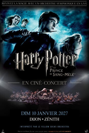 HARRY POTTER ET LE PRINCE DE SANG-MÊLÉ
