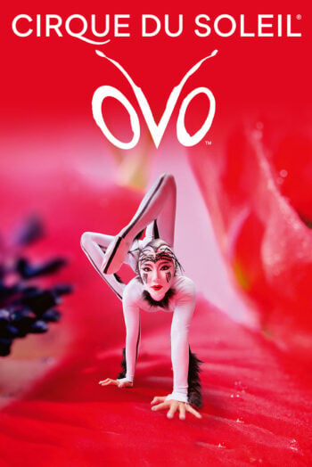 CIRQUE DU SOLEIL